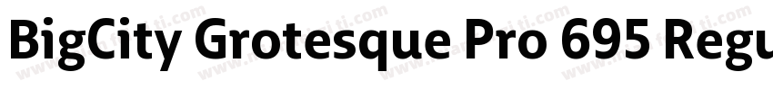 BigCity Grotesque Pro 695 Regular字体转换